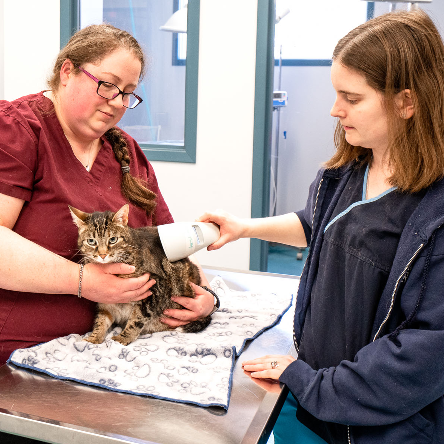 Our veterinary outreach clinic at work